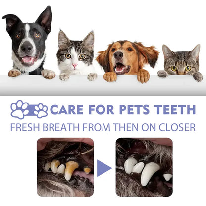 Trecding™🍃No-Brushing Oral Care Spray for Dogs & Cats