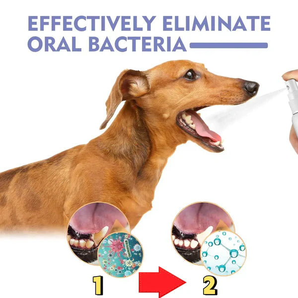 Trecding™🍃No-Brushing Oral Care Spray for Dogs & Cats