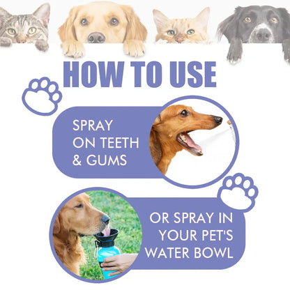 Trecding™🍃No-Brushing Oral Care Spray for Dogs & Cats